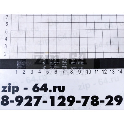 Ремень 1231 H8 EL <1160mm> HUTCHINSON CANDY 41003164